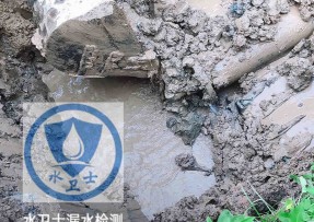 醴陵水管漏水检测公司5